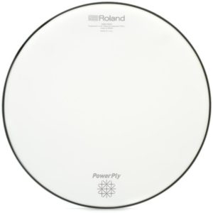 Meshing with Perfection: Selecting the Best Mesh Drum Heads | 2024 ...